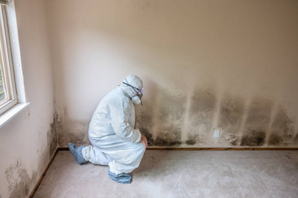 Forensic Mold Investigation in Sunset Beach, NC